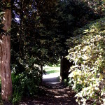 visit_penryn_tremough_walled_garden